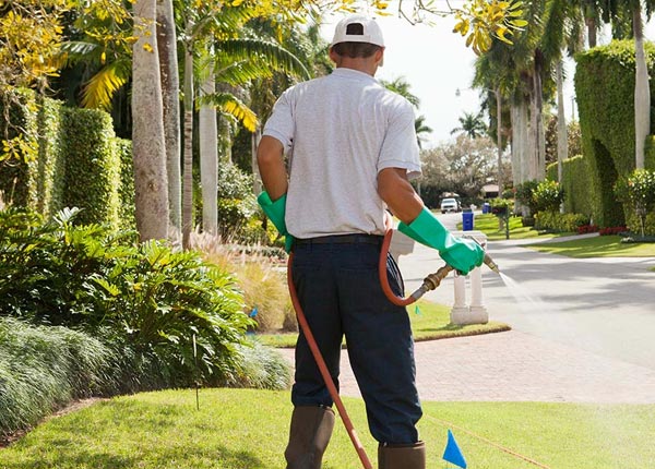 About Bath NC Pest Control